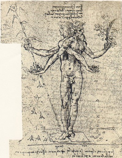 Unknown Drawing of Androgynous Corpus with Two Heads by Leonardo da Vinci
